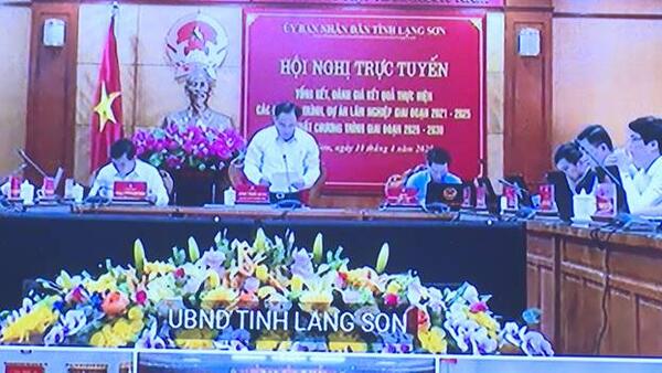 Hội nghị trực tuyến 3 cấp Tổng kết, đánh giá kết quả thực hiện Chương trình, dự án lâm nghiệp giai đoạn 2021 – 2025; đề xuất giai đoạn 2026 – 2030