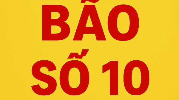 Tăng cường bảo đảm an toàn công trình thủy lợi, đề phòng ngập lụt, úng do mưa lớn ảnh hưởng của bão số 10 (bão BUALOI)