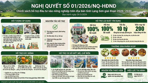 Đòn bẩy phát triển nông nghiệp đến từ Nghị quyết số 01/2026/NQ-HĐND của HĐND tỉnh Lạng Sơn