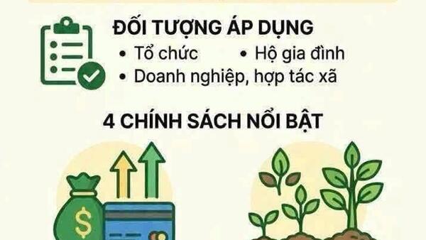 Đòn bẩy phát triển nông nghiệp đến từ Nghị quyết số 02/2026/NQ-HĐND của HĐND tỉnh Lạng Sơn